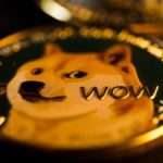 Who’s Laughing Now: How the Dogecoin Became the Hottest Cryptocurrency