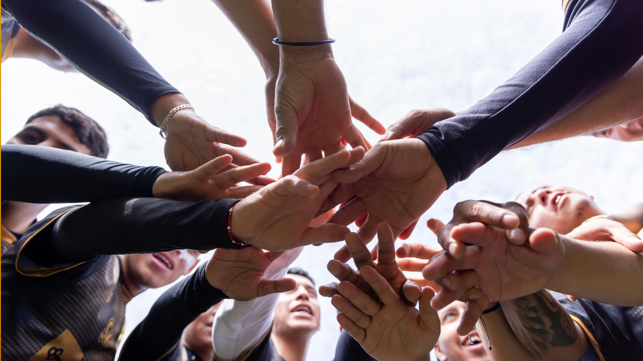 Purpose as Strategy: How Shalom Lamm Sees the Nonprofit World Shaping Smarter Businesses